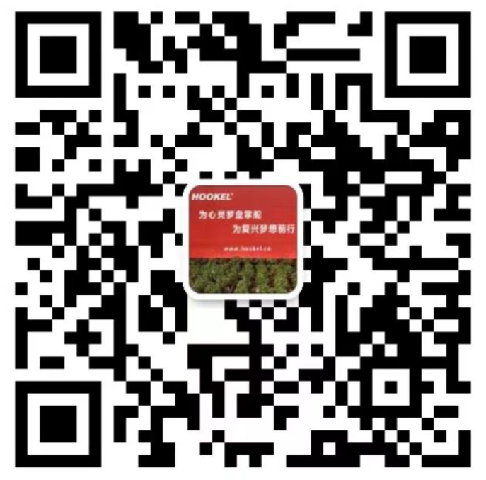 優秀員(yuán)工(gōng)